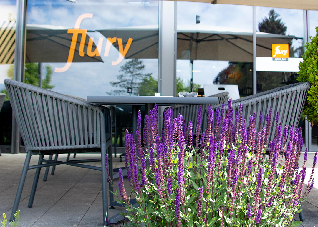 Terrasse im Aspi mit blühenden Blumen bei Sonnenschein