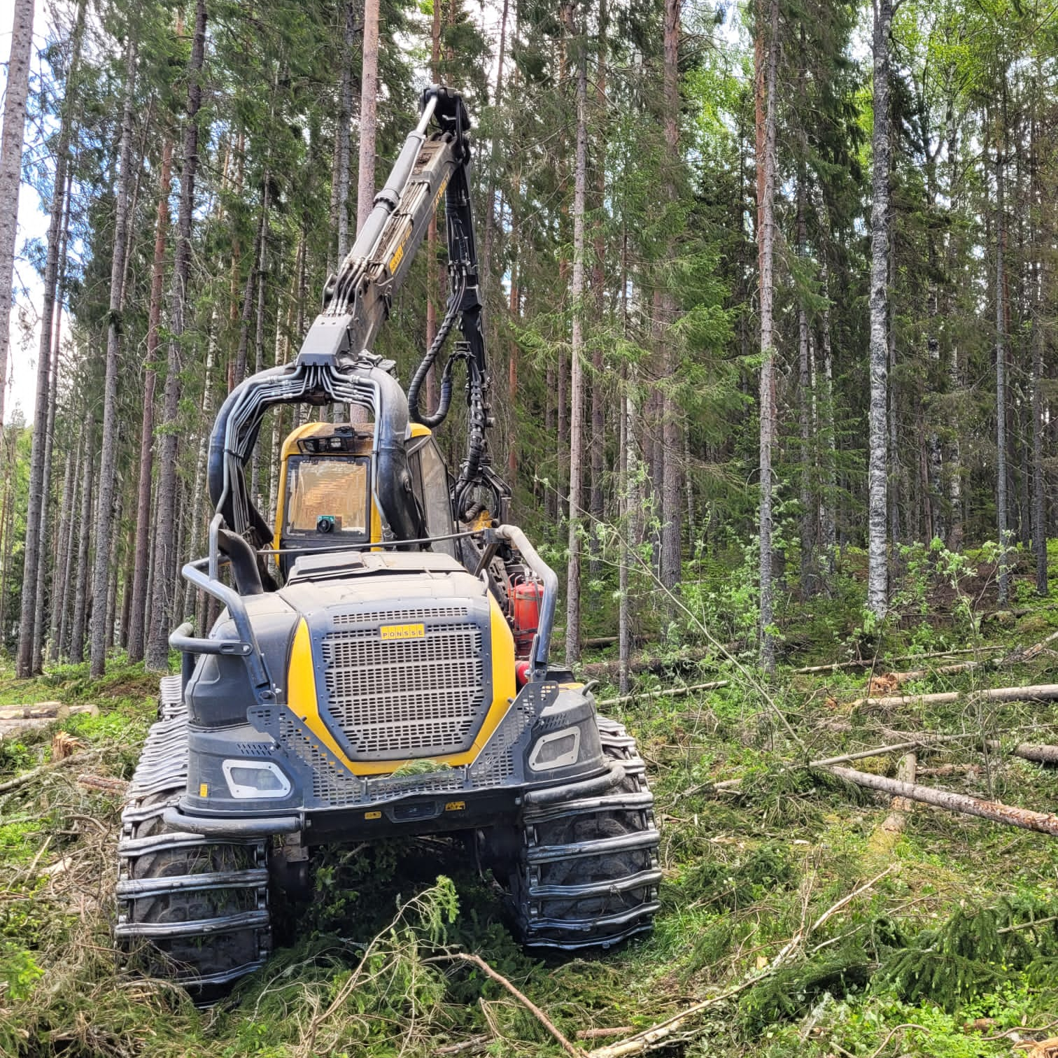 Holzvollernter im Einsatz