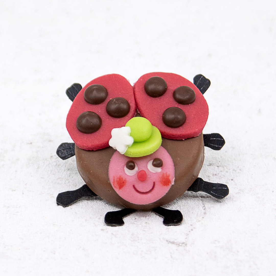 Maikäfer Gianduja 