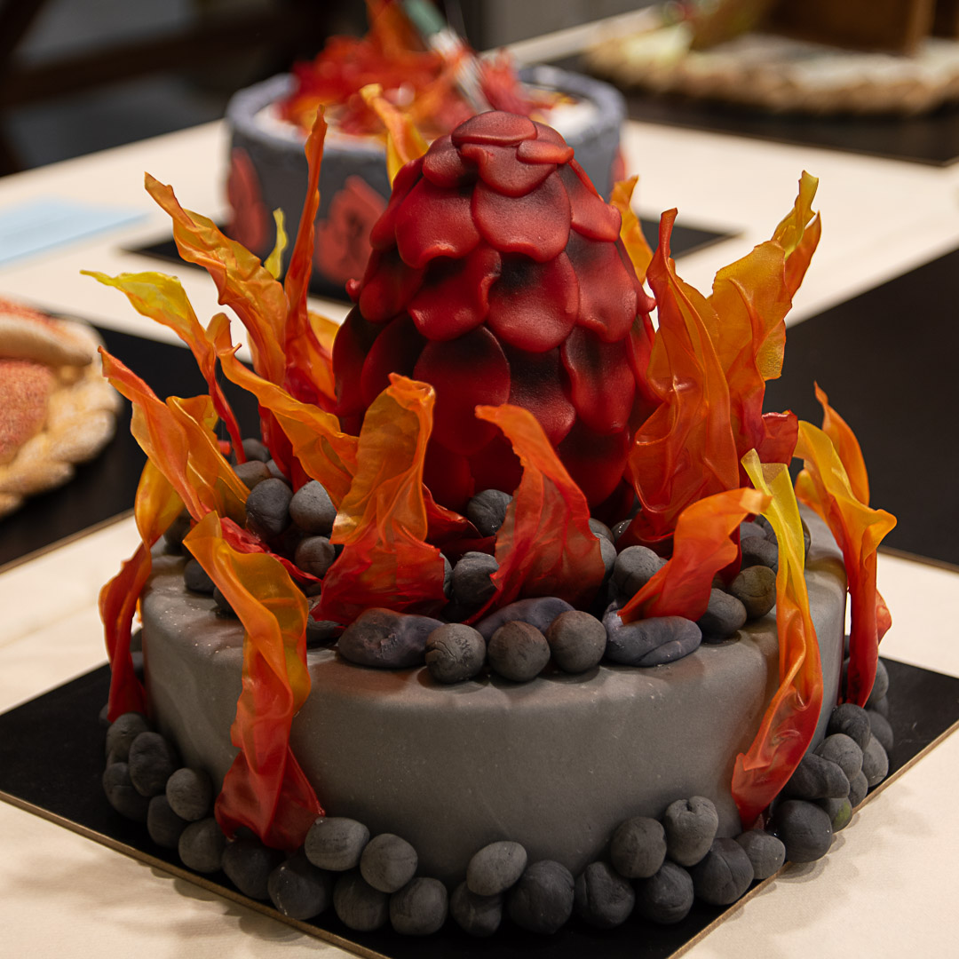 Torte von Nicola mit Drachen-Ei und Flammen als Decor.
