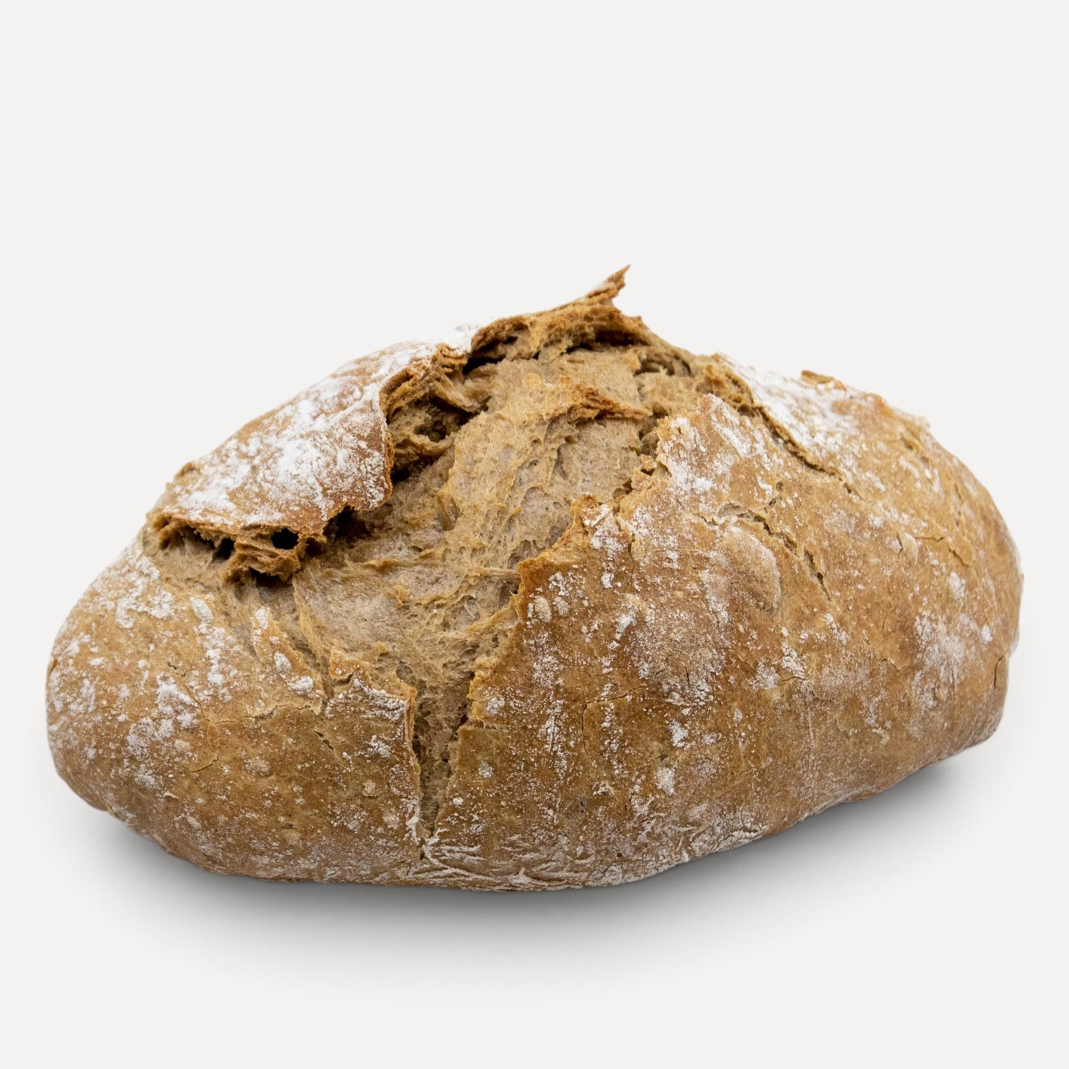 UrDinkel Ciabatta 